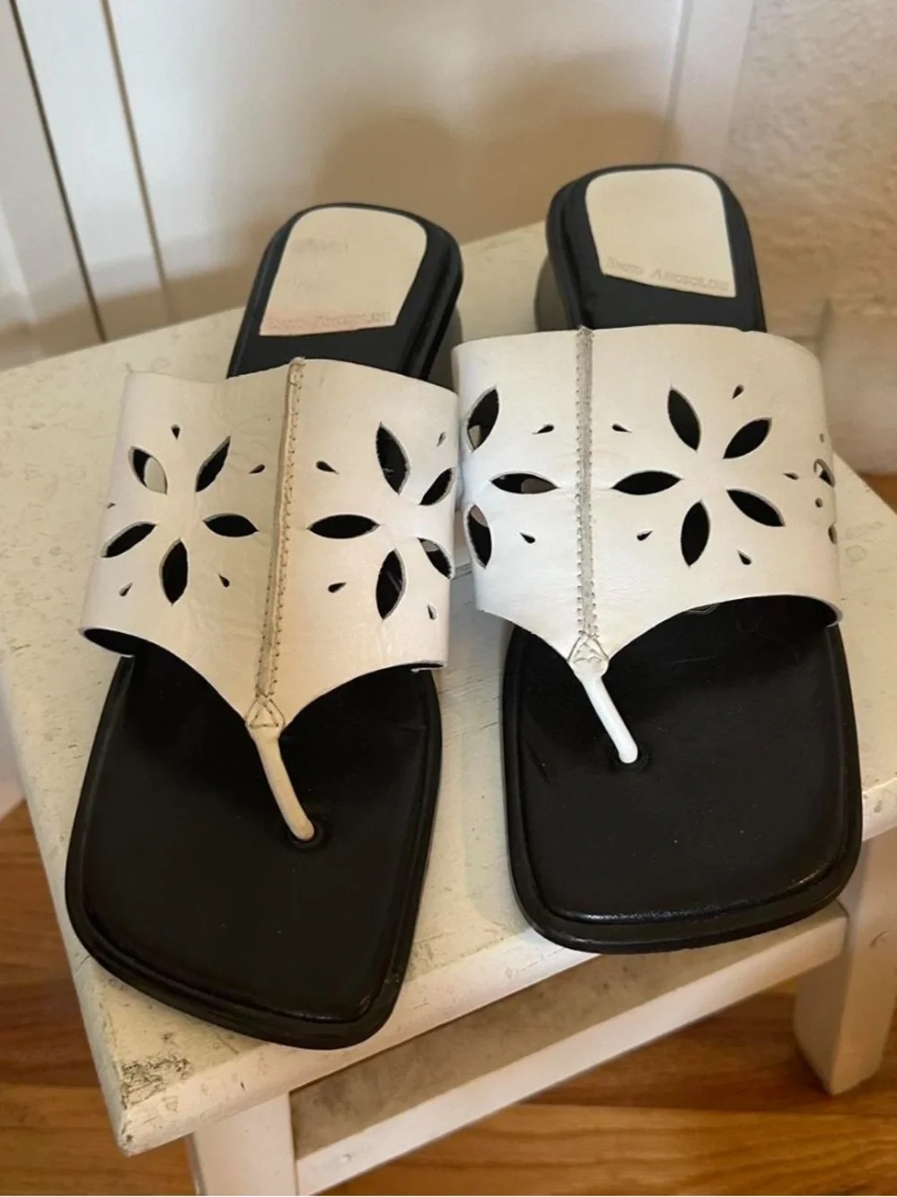 Enzo Angiolini enzo angiolini